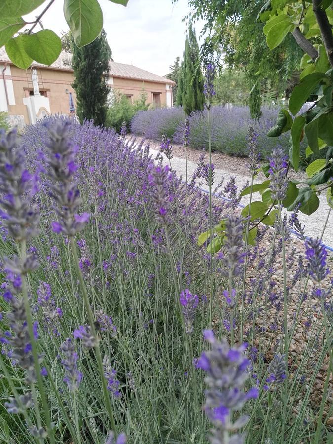 La Aldea Colorada Casa Rural Mota del Marqués Zewnętrze zdjęcie